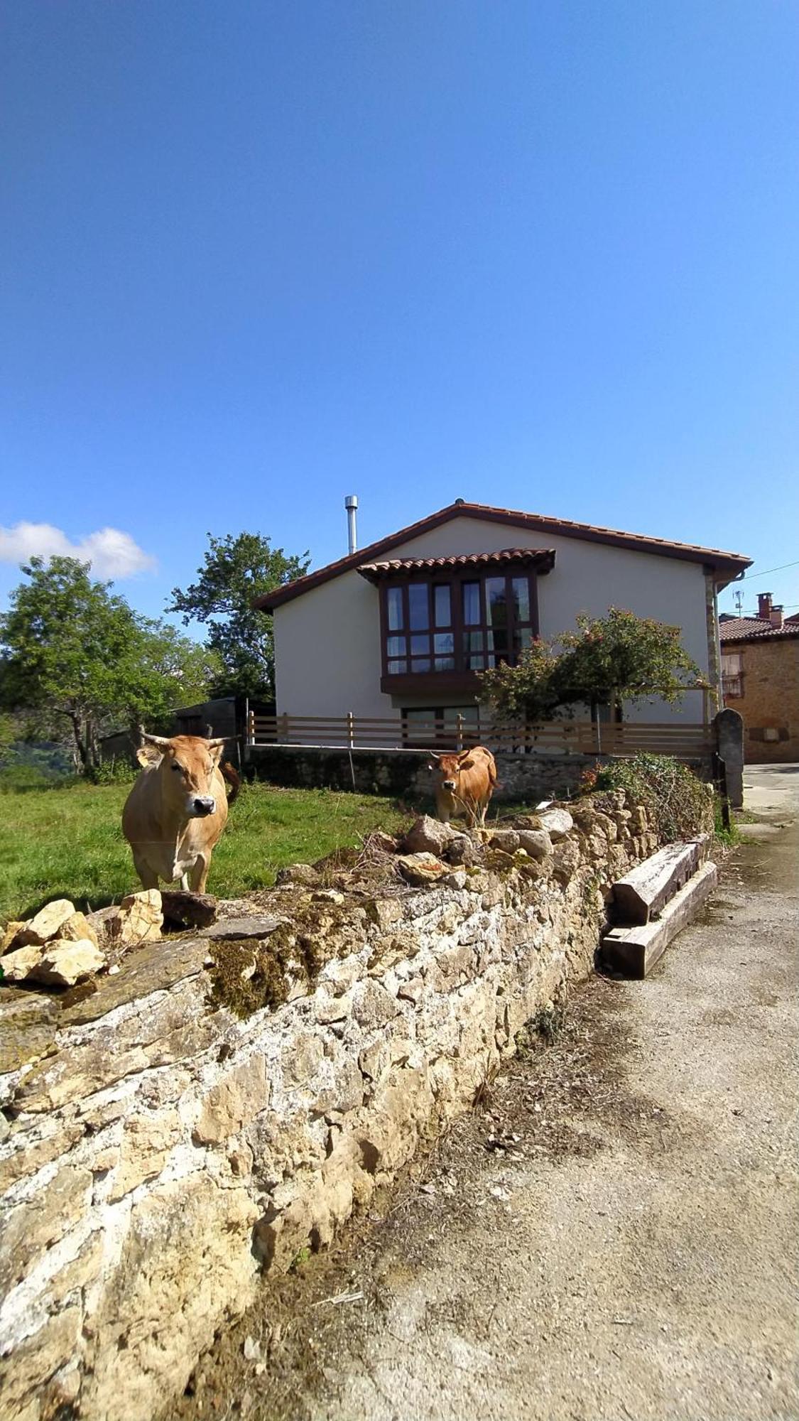 Villa El Rosal Beloncio Exterior foto